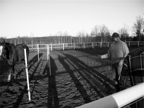 BW Stefan_Forsman