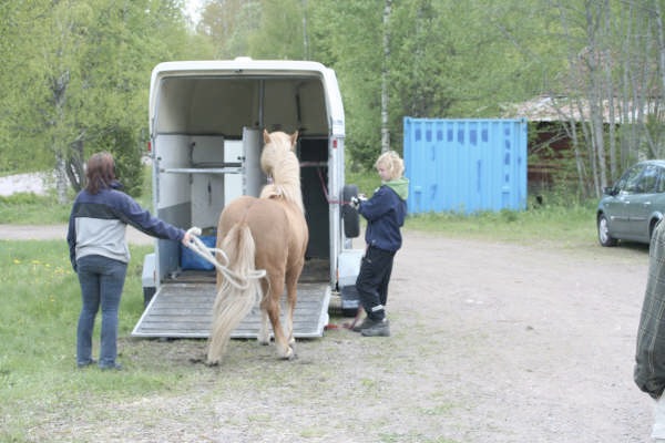 Loading Image