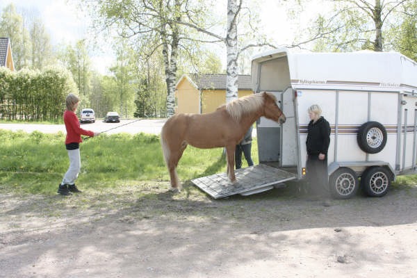 Loading Image