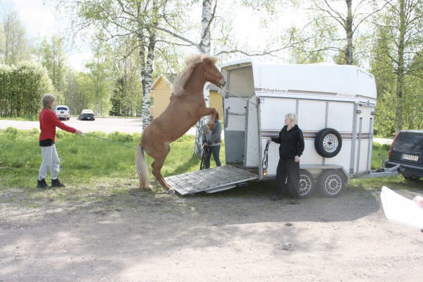 Loading Image