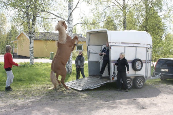 Loading Image