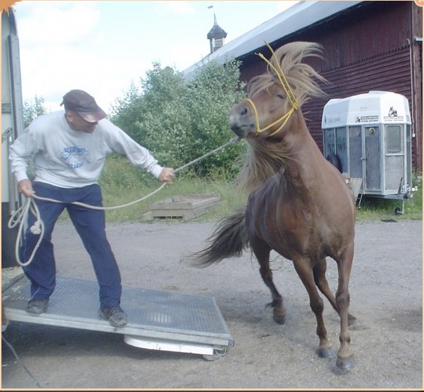 Loading Image