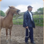 Smiling horse